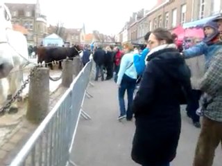 bergues avril 2012