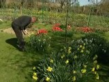 Giverny : premier printemps du nouveau chef jardinier