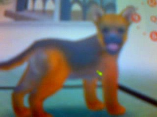 Comment choisir un chien dans nintendogs