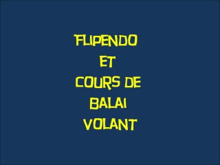 Harry Potter à l'école des sorciers (01) Flipendo et cour de balai volant