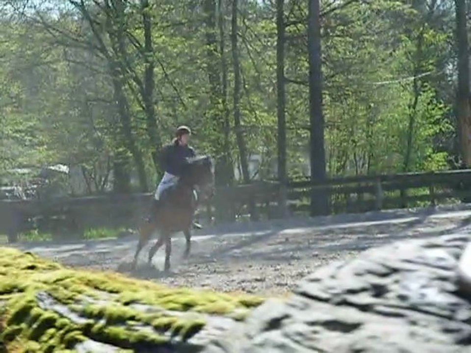 Concours Universitaire - CSO - 01/04 - Fahrenheit of May