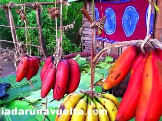 Segunda Suite Africana