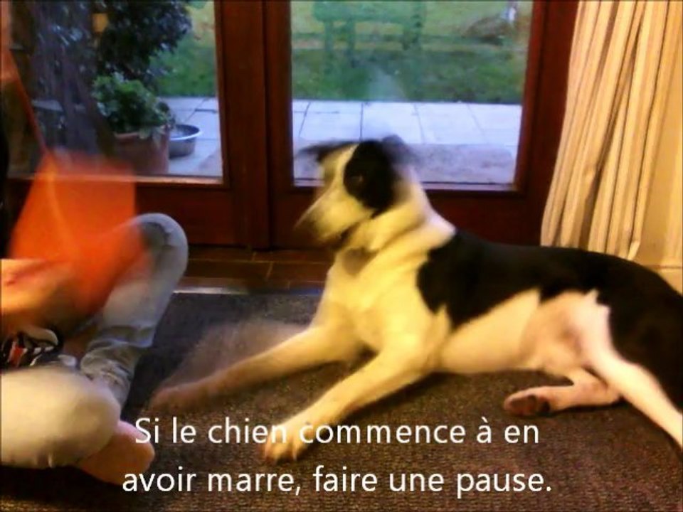 Apprendre: Croise les pattes