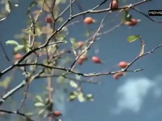 100% auto [S.2] [E.31] 1/2