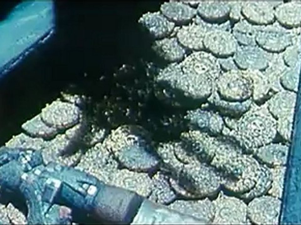 PIRATES DES CARAIBES, LA MALEDICTION DU BLACK PEARL - Bande-annonce VF