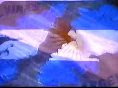 Conmemoración del Día del Veterano y Caídos en Malvinas