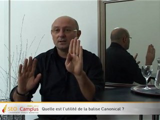 Duplicate Content et Google Panda par Olivier Andrieu