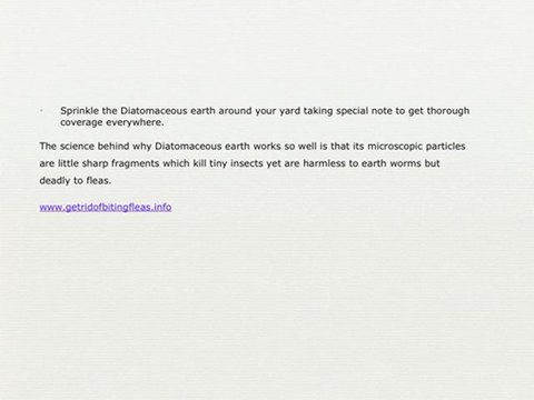 Discover How To Get Rid Of Fleas From Your Yard