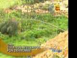 Cajamarca Deslizamiento acaba con hectareas de cultivos en comunidad de Chota