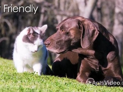 Pepperhill Apartments in North Charleston, SC - ForRent.com