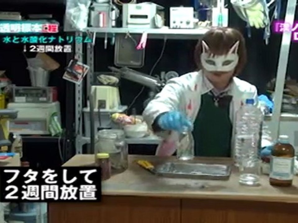 漢ノ実験工作室ＤＶＤ 透明標本