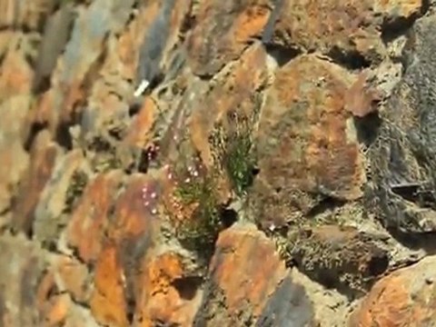 Chevrolet Corvette ZR1 Chases 200 MPH in Europe