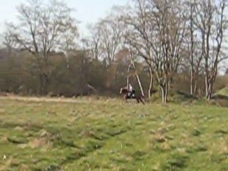 Kaïzer galop à la plaine