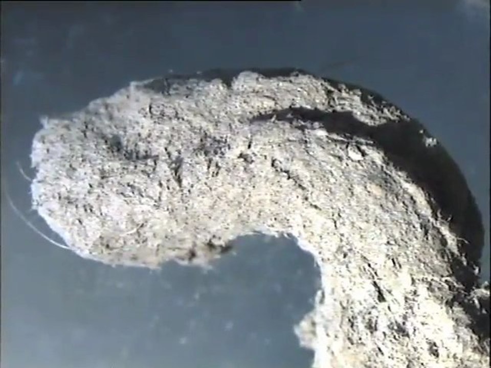 Observation à la binoculaire d'un granulat de boue de Brive séché au four