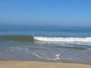 Lundi 02 Avril - Surf report vidéo 11H30