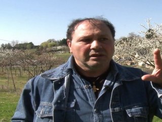 Rencontre avec Sylvain Caruso, la voix française de Donald