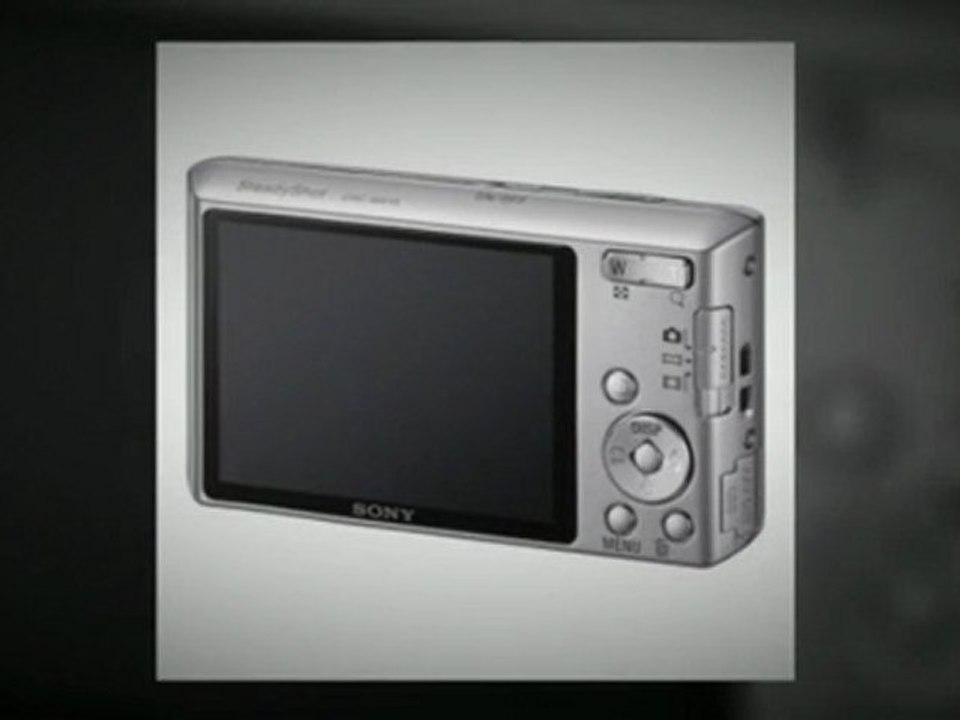 Sony Cyber-shot DSC-W610 14.1 MP Digital Camera Review ...