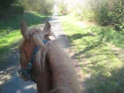 Balade au ravel en licol