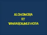 Harry Potter a l'ecole des sorciers (02) Alohomora et Wingardiumleviosa