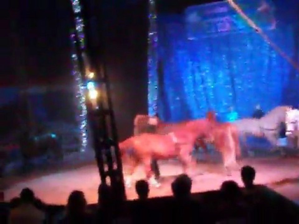 Les chevaux du cirque pour Tata Loubna