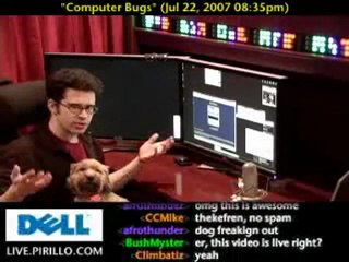 How to Get Rid of Bugs