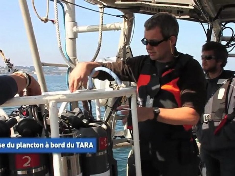 analyse du plancton à bord du TARA