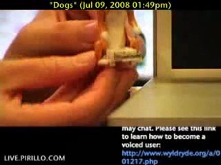 Will You Adopt a USB Humping Dog?