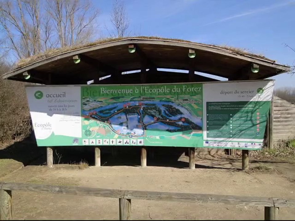 La Fête du Saule