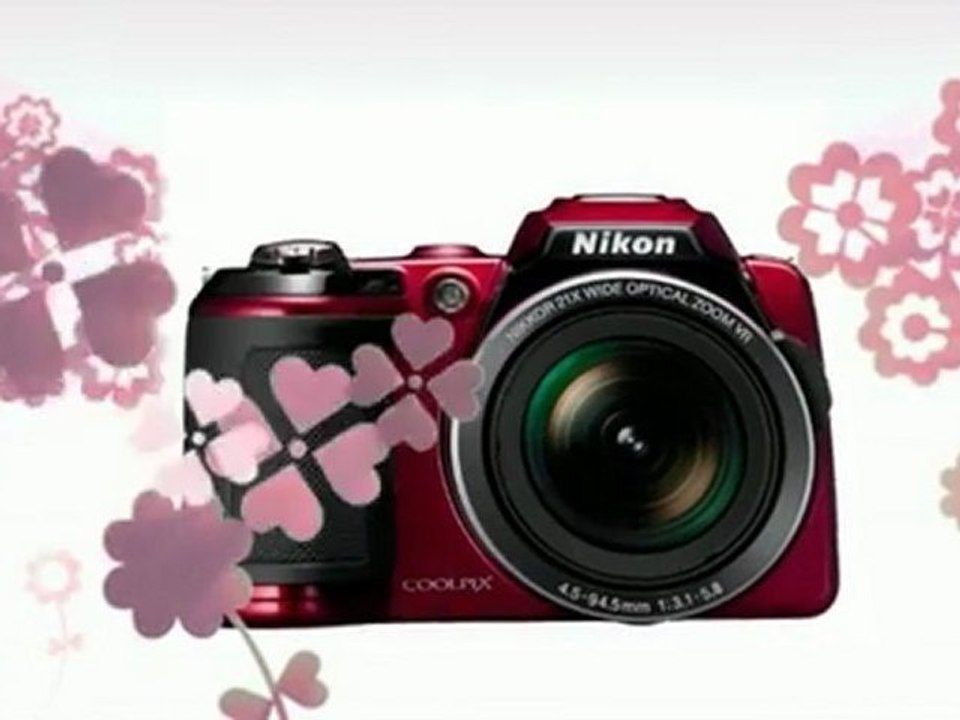 Bargain Review - Nikon COOLPIX L120 14.1 MP Digital Camera
