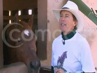 Equulibrium Miami Dade PTSD Therapy Dr Faubel (954) 661-8586