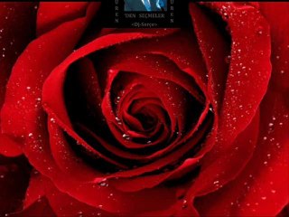 Zeki MÜREN - KIRMIZI GÜLÜN ALI VAR