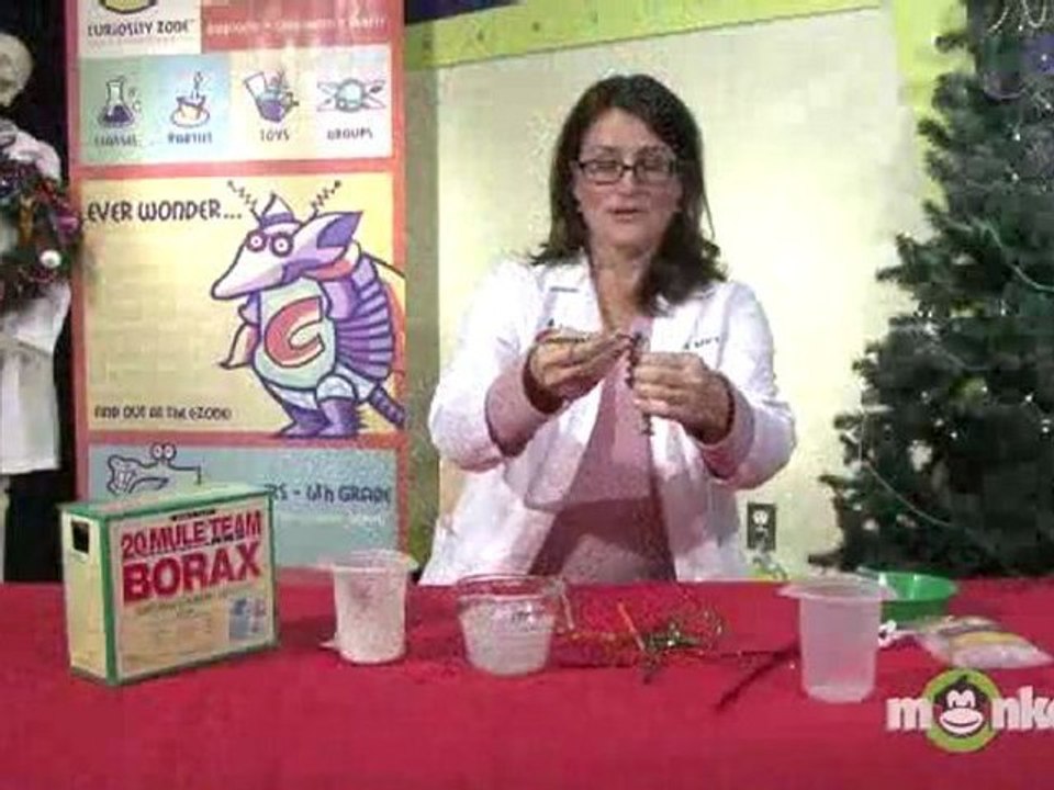 Science Project Holiday Gifts - Crystal Ornaments