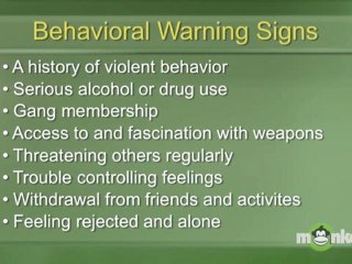 What do we know about individuals who commit violence in schools?