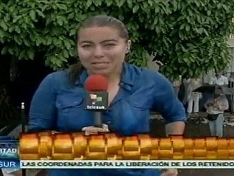 Militares brasileños y ONG colombiana, en liberaciones