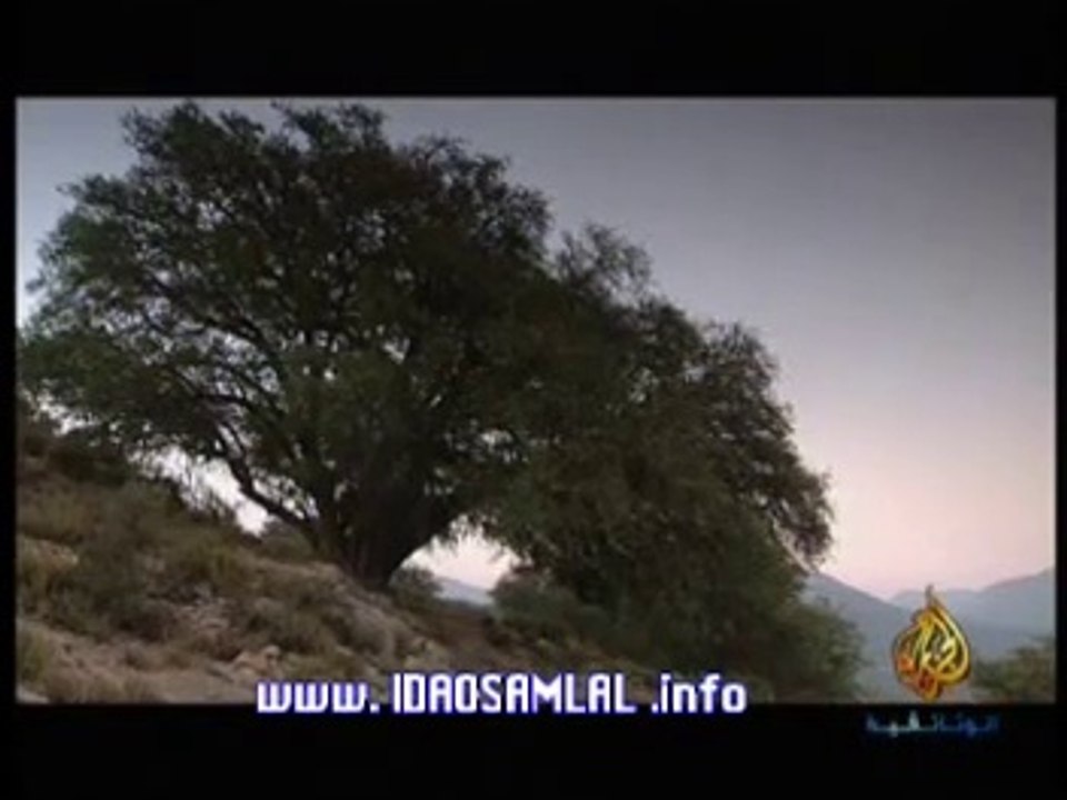 ‫أركان Argan Maroc‬