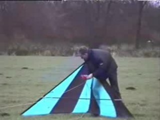 regis fait du cerf-volant