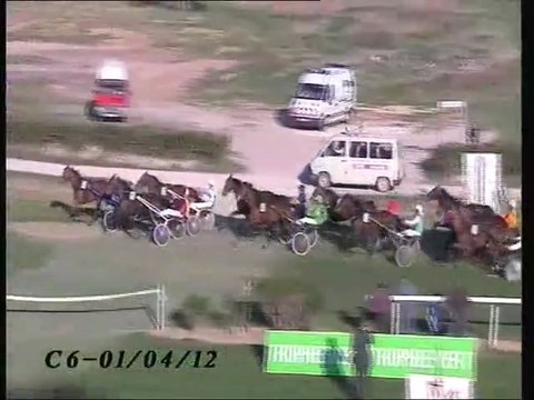 Pacha des Veys Trophée Vert Nimes