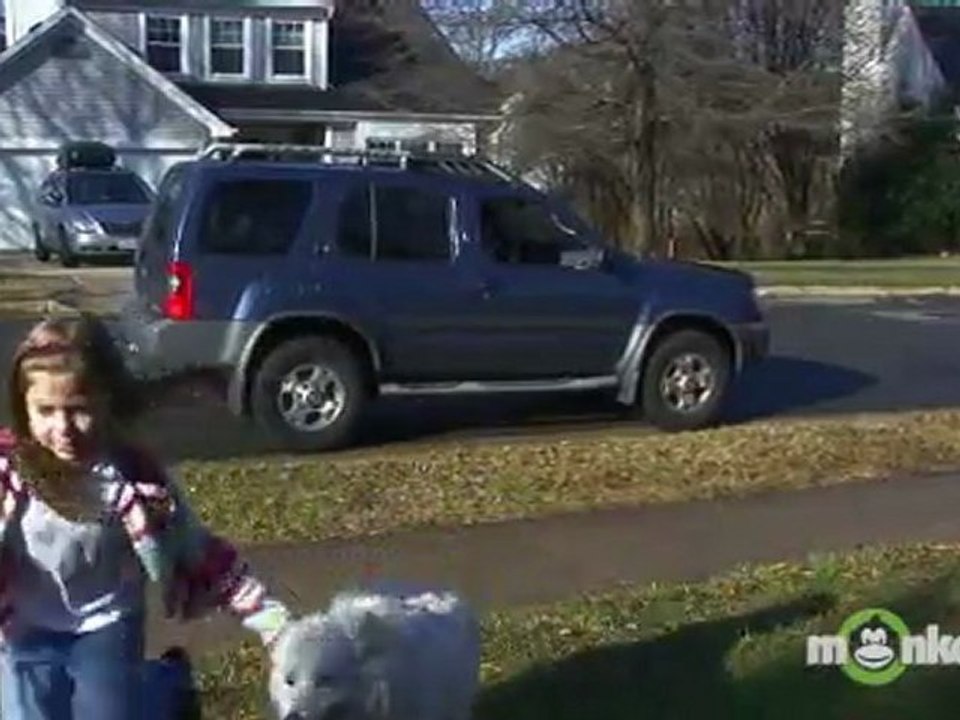 What are some things children can do to be safer while going to or from school?