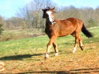 Ulysse et Clarisse ♥