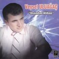 Veysel Uluağaç - Giden Gelmezmiş