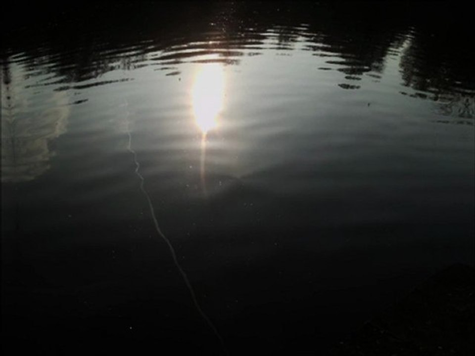 Some Day Drowning.by blairdm