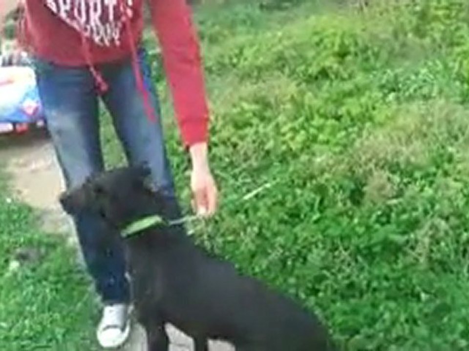 nıke eğitim video