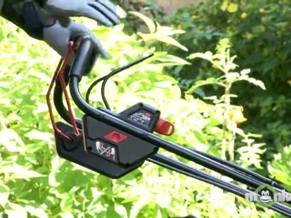 Fall Lawn Care