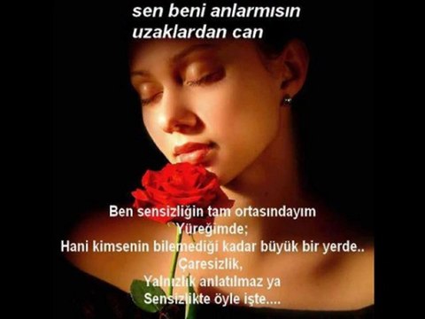 SENNNN canımsın SENNNN kanımsın ( Y.JANUARY )