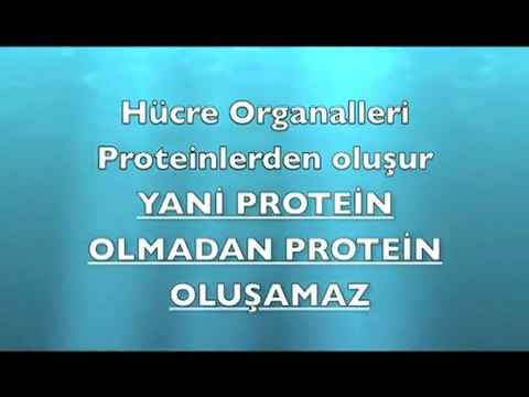 EVRİM TEORİSİ NEDEN GEÇERSİZ-1