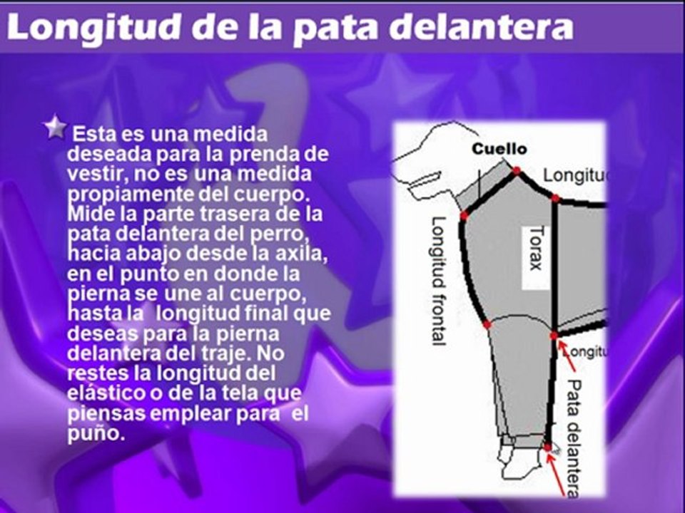 Como hacer ropa para el perro en http://www.patronesderopa.com