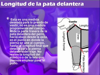 Como hacer ropa para el perro en http://www.patronesderopa.com