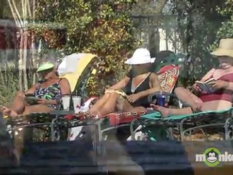 Stock Market Investing - Stocks on the rise