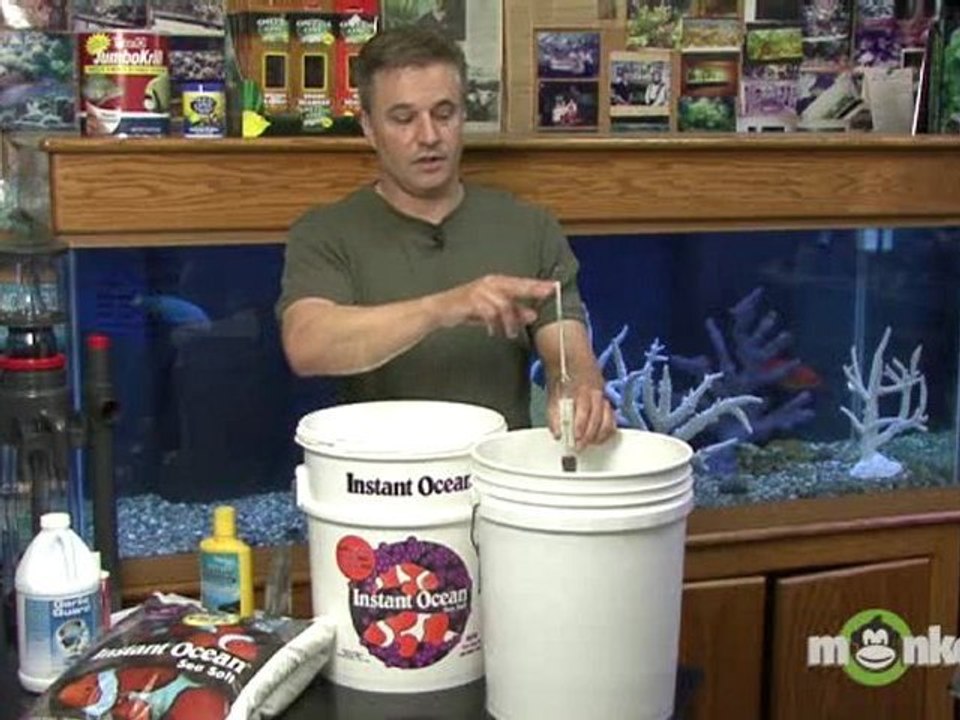 Saltwater Aquarium - Finding Salinity