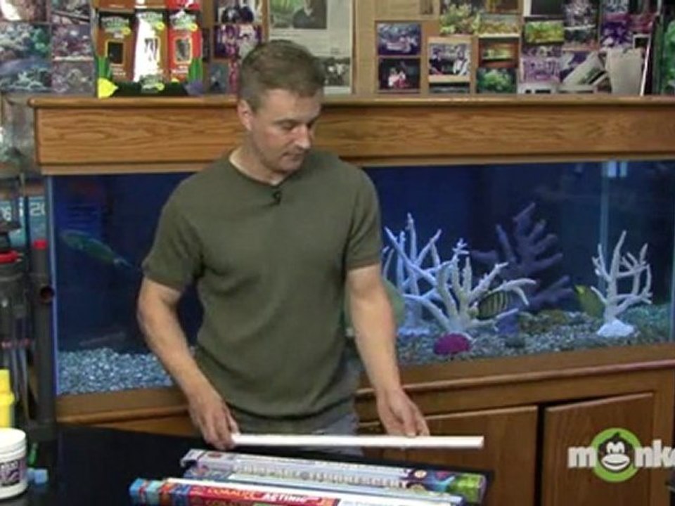 Saltwater Aquarium - Lighting